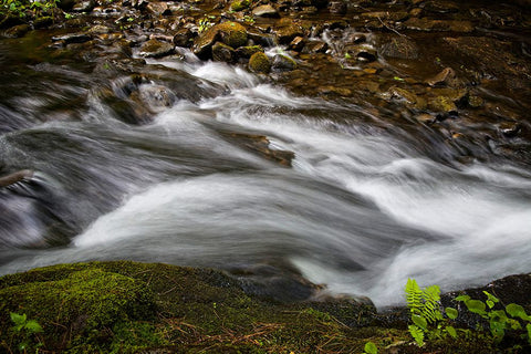 Waterfall 2 Black Modern Wood Framed Art Print by Lee, Rachel