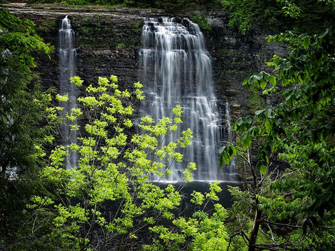 Waterfall 34 Black Ornate Wood Framed Art Print with Double Matting by Lee, Rachel