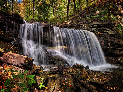 Waterfall 36 Black Ornate Wood Framed Art Print with Double Matting by Lee, Rachel