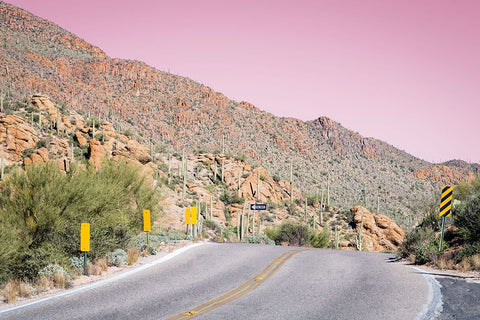 Desert Road Trip White Modern Wood Framed Art Print with Double Matting by Malone, Will