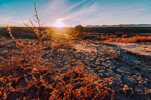 Desert Sunset 3 Black Modern Wood Framed Art Print by Malone, Will