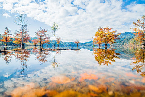 Fall Lake Black Ornate Wood Framed Art Print with Double Matting by Malone, Will