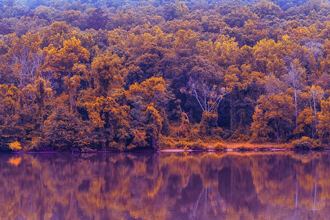 Across The River Infrared Black Modern Wood Framed Art Print by Malone, Will