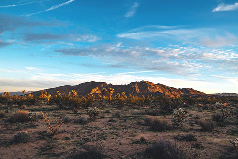 Desert Sky Black Modern Wood Framed Art Print by Malone, Will