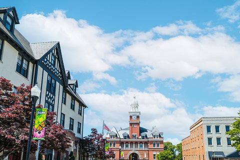 Elbert County Courthouse White Modern Wood Framed Art Print with Double Matting by Malone, Will