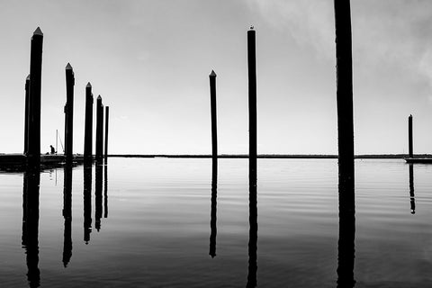 Calm Waters Black Ornate Wood Framed Art Print with Double Matting by Malone, Will