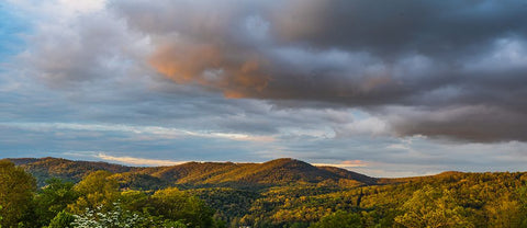 Cashiers Clouds Pano Black Ornate Wood Framed Art Print with Double Matting by Malone, Will