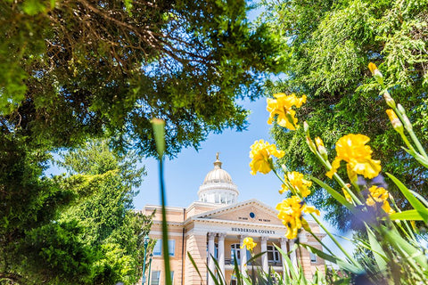 Henderson County Courthouse White Modern Wood Framed Art Print with Double Matting by Malone, Will