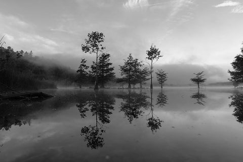 Ocoee Fog 4 White Modern Wood Framed Art Print with Double Matting by Malone, Will