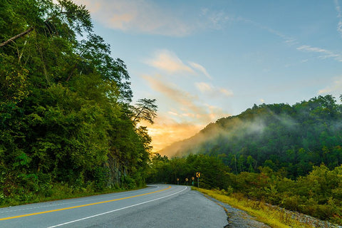 Ocoee Road 2 Black Modern Wood Framed Art Print by Malone, Will