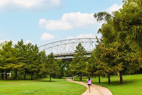 Bastrop Bridge Black Modern Wood Framed Art Print by Malone, Will