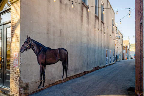 Horse Alley Black Modern Wood Framed Art Print by Malone, Will