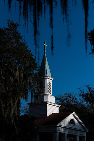 Spanish Moss Steeple Black Ornate Wood Framed Art Print with Double Matting by Malone, Will