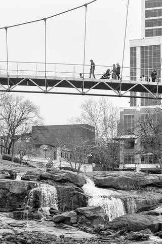 Falls Park Audience 2 Black Modern Wood Framed Art Print by Malone, Will