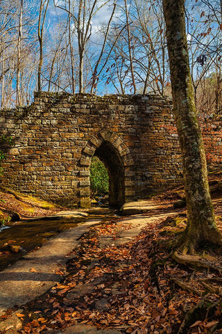 Poinsett Bridge White Modern Wood Framed Art Print with Double Matting by Malone, Will