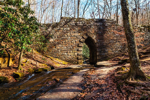 Poinsett Bridge 2 Black Modern Wood Framed Art Print by Malone, Will