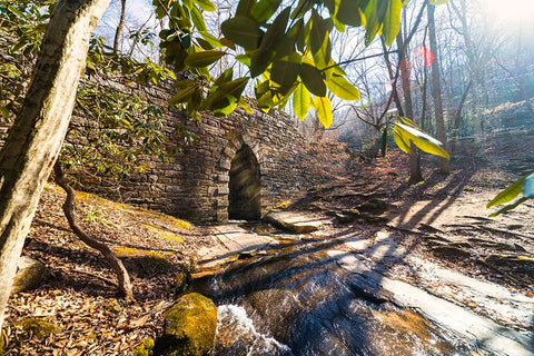 Poinsett Bridge 4 White Modern Wood Framed Art Print with Double Matting by Malone, Will