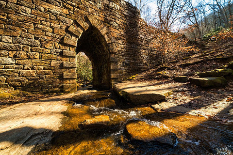 Poinsett Bridge 5 White Modern Wood Framed Art Print with Double Matting by Malone, Will