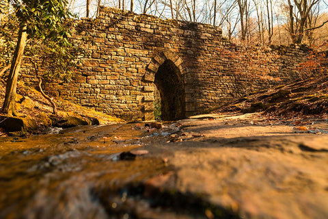 Poinsett Bridge 6 White Modern Wood Framed Art Print with Double Matting by Malone, Will