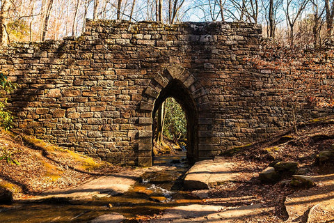 Poinsett Bridge 7 White Modern Wood Framed Art Print with Double Matting by Malone, Will