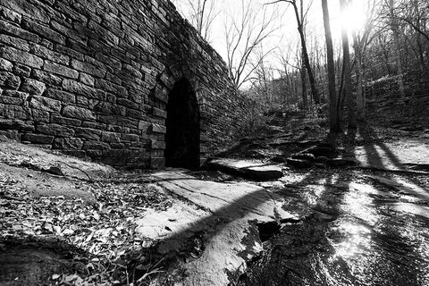 Poinsett Bridge 9 Black Modern Wood Framed Art Print by Malone, Will