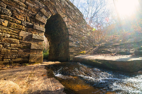 Poinsett Bridge 10 Black Ornate Wood Framed Art Print with Double Matting by Malone, Will