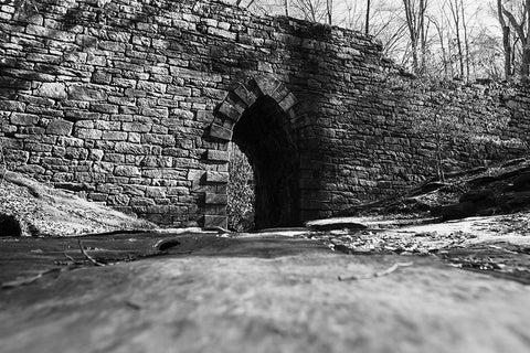 Poinsett Bridge 6 BW Black Modern Wood Framed Art Print by Malone, Will