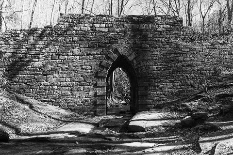 Poinsett Bridge 7 BW Black Modern Wood Framed Art Print by Malone, Will