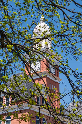 Covered White Modern Wood Framed Art Print with Double Matting by Malone, Will