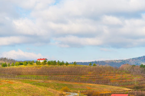 Merciers 2 Black Ornate Wood Framed Art Print with Double Matting by Malone, Will