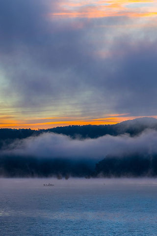 Rain on Me Vertical White Modern Wood Framed Art Print with Double Matting by Malone, Will