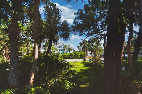 Tarpon Black Ornate Wood Framed Art Print with Double Matting by Malone, Will