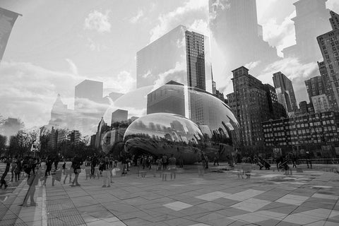 The Bean BW Black Modern Wood Framed Art Print by Malone, Will