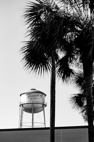 Thomasville Watertower 2 Black Ornate Wood Framed Art Print with Double Matting by Malone, Will