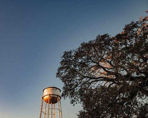 Watertower 6 Black Modern Wood Framed Art Print by Malone, Will