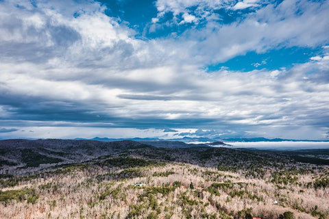 Winter Sky Black Modern Wood Framed Art Print by Malone, Will