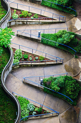 Wmwalkway Black Modern Wood Framed Art Print by Malone, Will