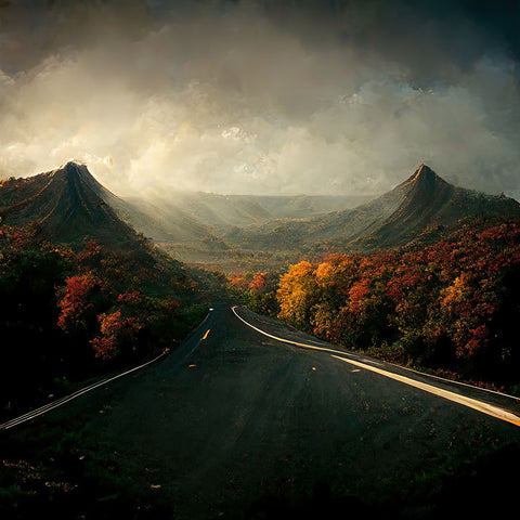 Autumn Road 2 Black Ornate Wood Framed Art Print with Double Matting by Screendoor