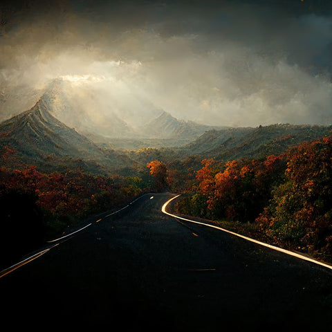 Autumn Road Black Ornate Wood Framed Art Print with Double Matting by Screendoor