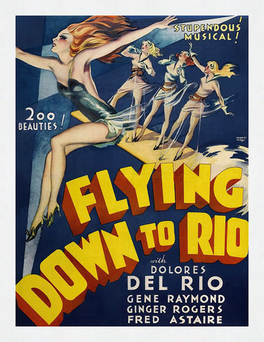 Flying Down To Rio Black Modern Wood Framed Art Print by Screendoor