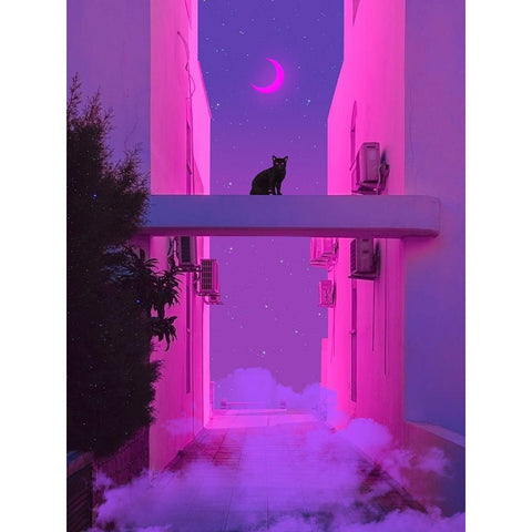 Ethereal Dreams 1 Black Modern Wood Framed Art Print by Orozco, Danner