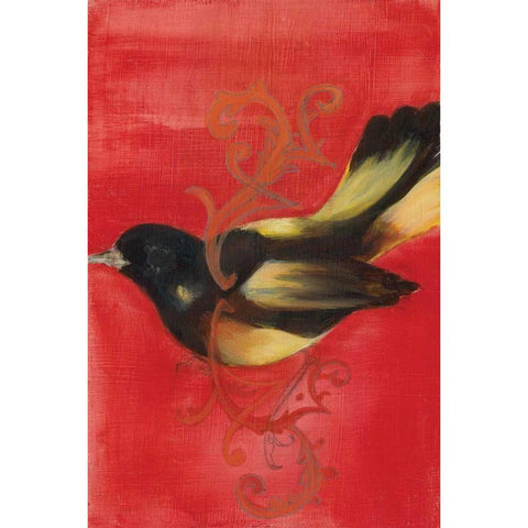 Bird Study IV Black Modern Wood Framed Art Print with Double Matting by Adkin, Arielle