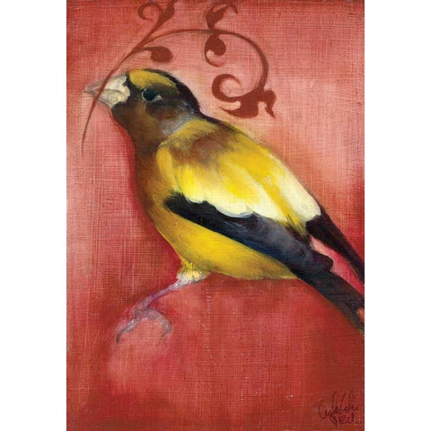 Bird Study VI Black Modern Wood Framed Art Print with Double Matting by Adkin, Arielle