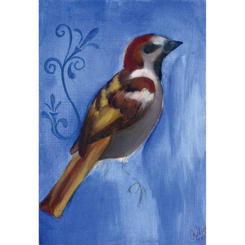 Bird Study XI White Modern Wood Framed Art Print by Adkin, Arielle