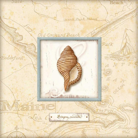 Sea Treasure IV White Modern Wood Framed Art Print by Audrey, Charlene