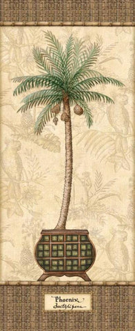 Botanical Palm II Black Ornate Wood Framed Art Print with Double Matting by Audrey, Charlene