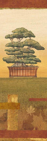 Bonsai II White Modern Wood Framed Art Print with Double Matting by Audrey, Charlene