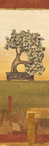 Bonsai III White Modern Wood Framed Art Print with Double Matting by Audrey, Charlene