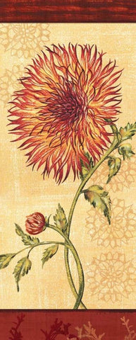 Dahlia III White Modern Wood Framed Art Print with Double Matting by Audrey, Charlene