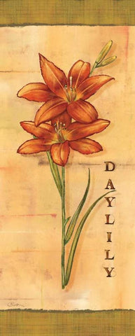 Les Lys I White Modern Wood Framed Art Print with Double Matting by Audrey, Charlene